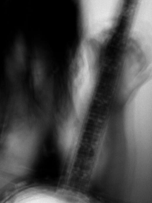 Colby with banjo, Athens, Georgia, 18 July 2007