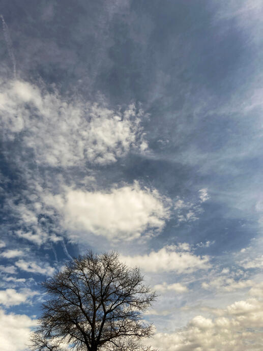The sky as totality approaches, Perry Square, Erie, Pennsylvania, 8 Apr. 2024